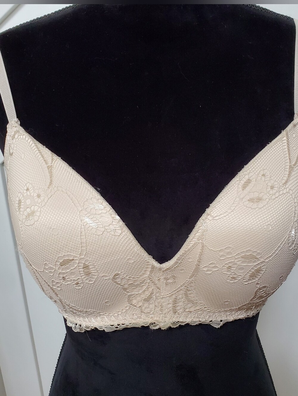 Lace Padded Plunge Bra in Beige 36C